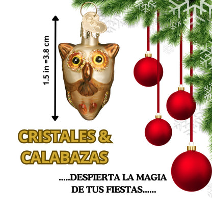 CRISTALES Y CALABAZAS